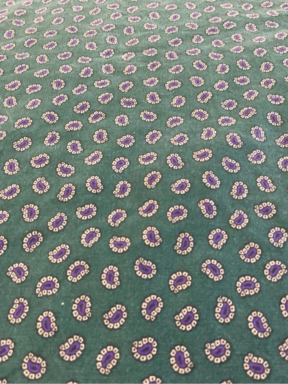 Polo by Ralph Lauren Green Printed Two Pillowcases